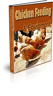 How To Keep Farm Fresh Chickens