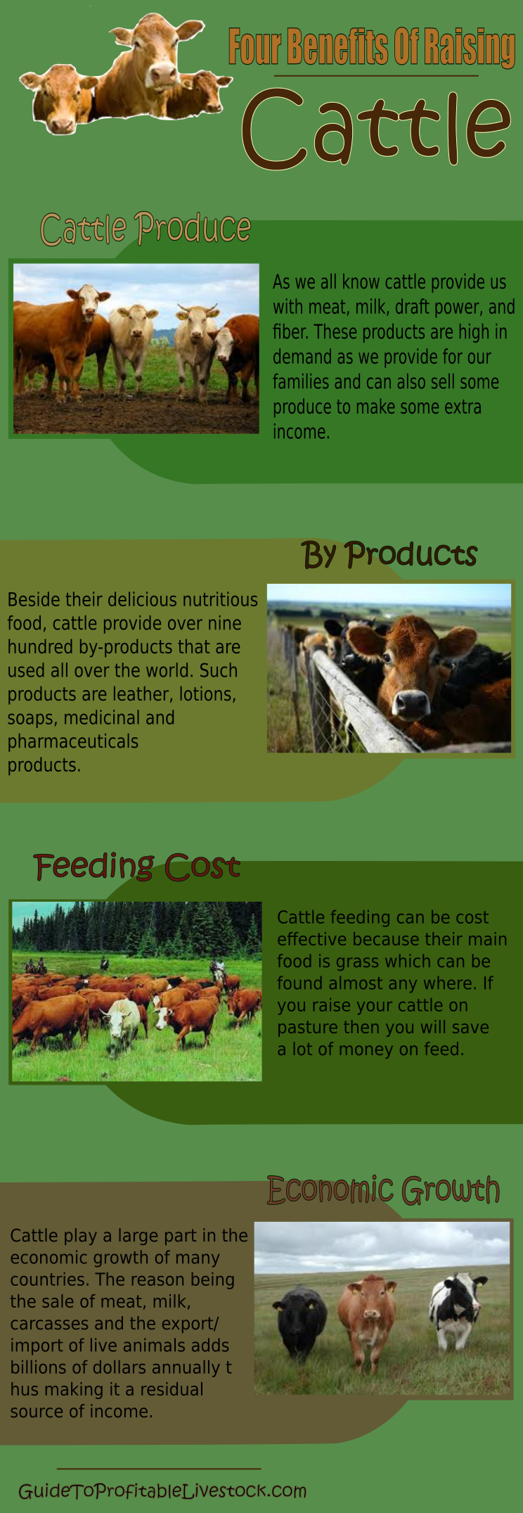 Four Benefits Of Raising Cattle