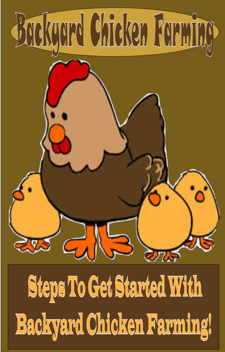 Steps To Get Started With Backyard Chicken Farming
