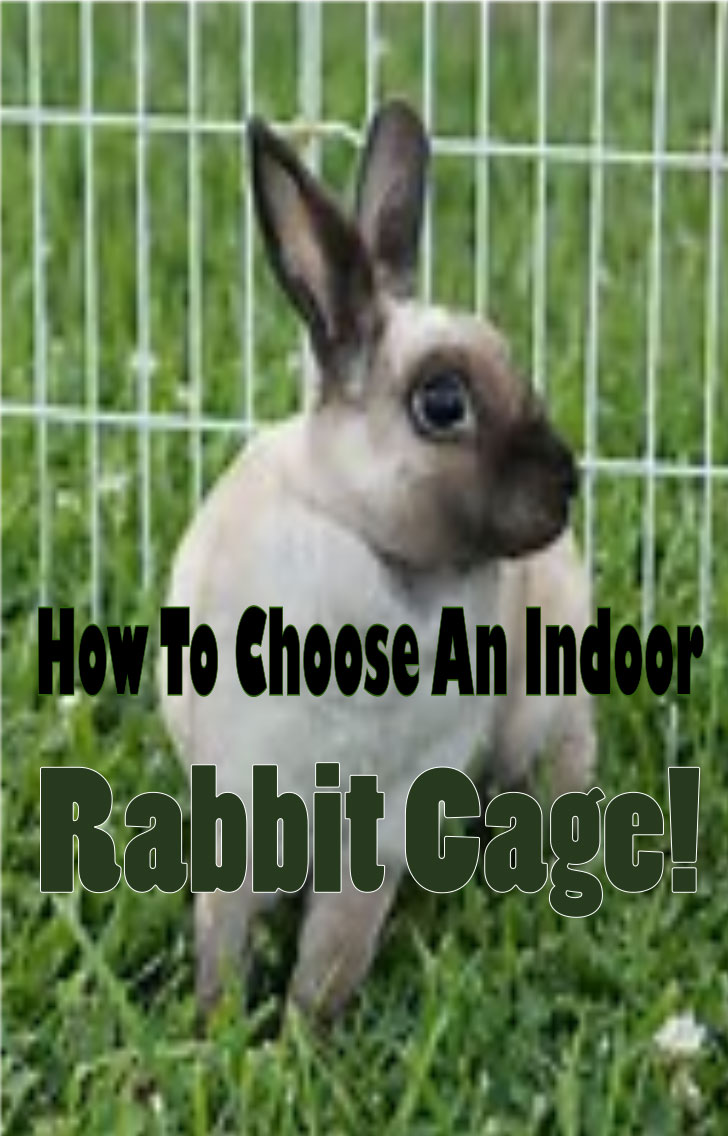 how to choose an indoor rabbit cage