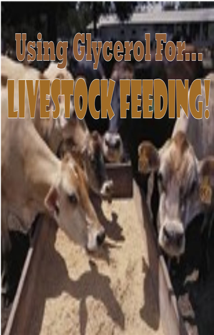 using glycerol for livestock feeding