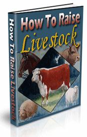 How To Raise Livestock