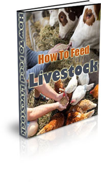 The How To Feed Livestock Ebook