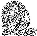 Raise Turkeys