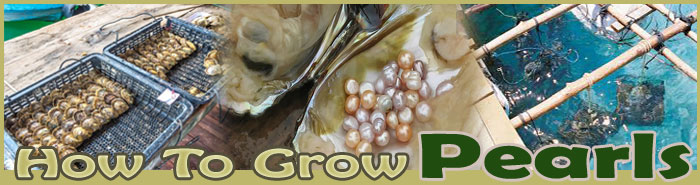 how to raise rainbow trout FAQ