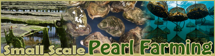 How To Make A Pearl Habitat