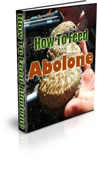 Where Do Abalone Grow