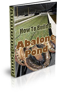 The Habitat Of Abalone