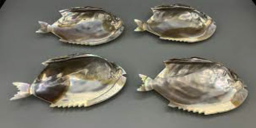 Making A Abalone Habitat Frequently Asked Questions