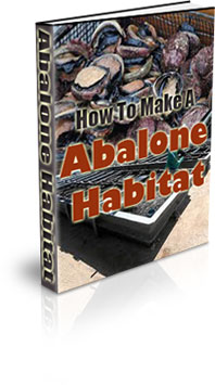 The How To Make A Abalone Habitat eBook