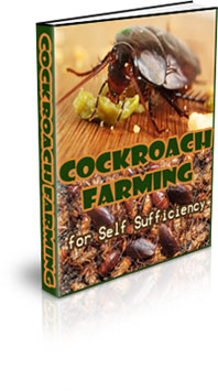 The Cockroach Farming for Self Sufficiency eBook