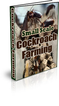 The Small Scale Cockroach Farming eBook