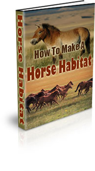 The How To Make A Horse Habitat eBook