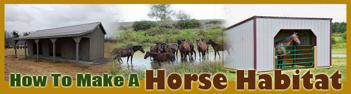 How To Make A Horse Habitat
