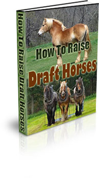 The How To Raise Draft Horses eBook