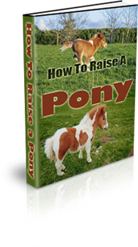 The How To Raise A Pony eBook