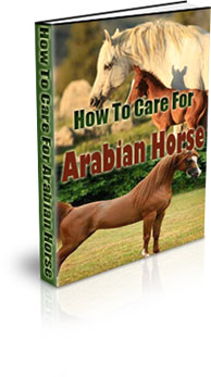 The How To Take Care Of An Arabian Horse eBook