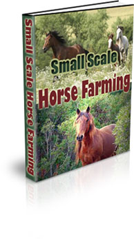 The Small Scale Horse Farming eBook