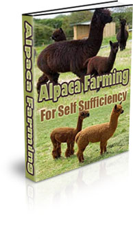 The Alpaca Farming For Self Sufficiency eBook