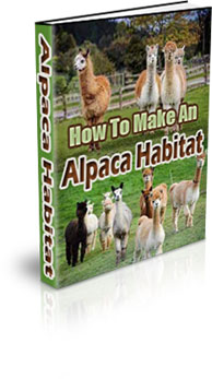 The How To Make An Alpaca Habitat eBook