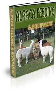 How Do I Start A Small Alpaca Farm