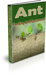 Raising An Ant Farm