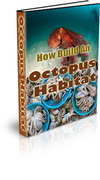The How Build An Octopus Habitat eBook