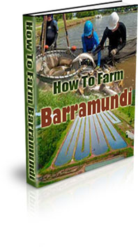 The How To Raise Barramundi eBook