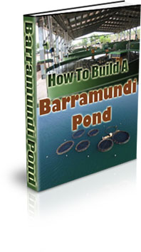 Raising Barramundi At Home