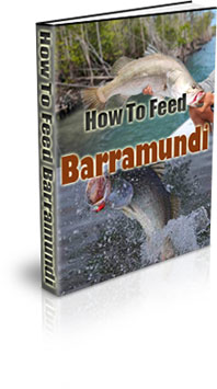 Barramundi Fish Habitat