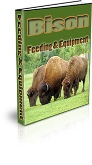 Bison Habitat Construction