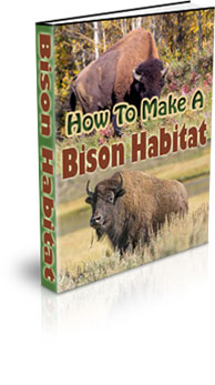 The How To Make A Bison Habitat eBook