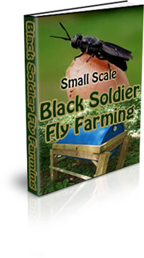 The Small Scale Fly Farming Farming eBook