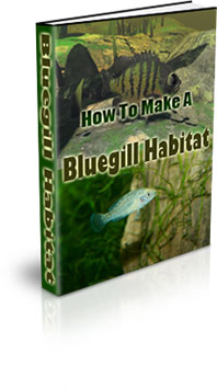 The How To Make A Bluegill Habitat eBook