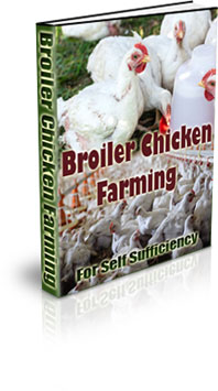 The Broiler Chicken Farming For Self Sufficiency eBook