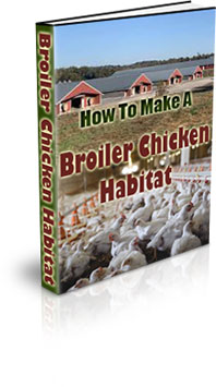 Broiler Chicken Farming Training