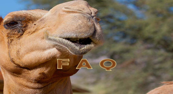 Raising Camels Frequently Asked Questions