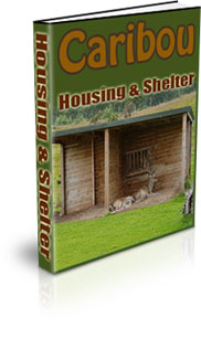 Caribou Farming For Profit