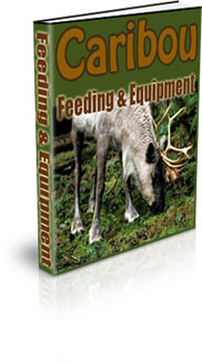 Raising Caribou For Meat