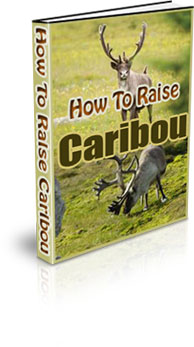 The How To Raise Caribou eBook