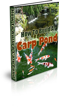 Carp Fish Farming On A Small Scale