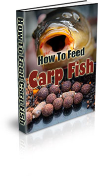Common Carp Fish Growth Time