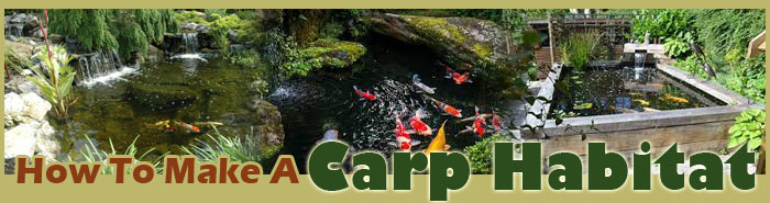 How To Make A Carp Habitat