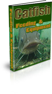 How To Start Catfish Farming At Home