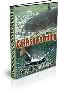 The Catfish Farming For Self Sufficiency eBook