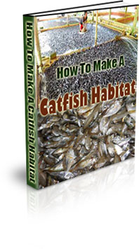 The How To Make A Catfish Habitat eBook