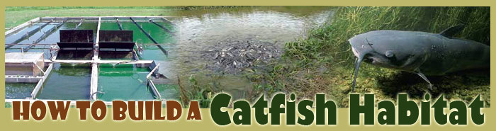 How To Make A Catfish Habitat