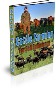 The Cattle Farming For Self Sufficiency eBook