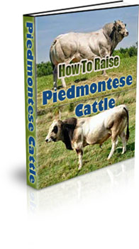 The How To Raise Piedmontese Cattle eBook