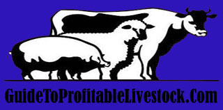 Profitable Cattle